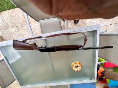 Beretta A304