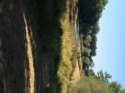 Sologne Territoire de Chasse à louer, 150 ha