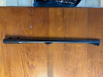 Canon Blaser R93 30-06