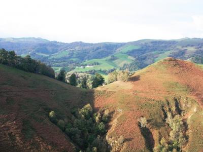 Location postes tir au vol à la palombe