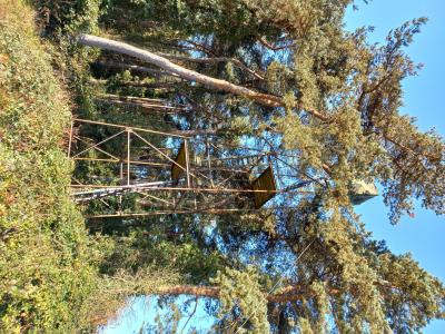 Chasse palombes en Sologne
