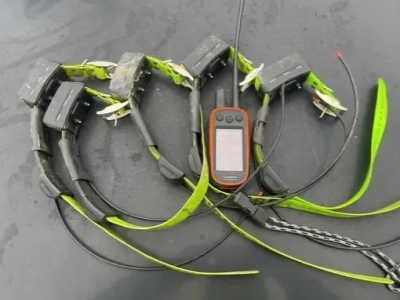 Garmin tt15 Colliers Canines GPS