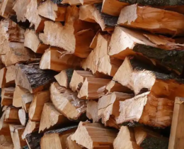 "Haute-Marne : vol de stock de bois dans une société de chasse"