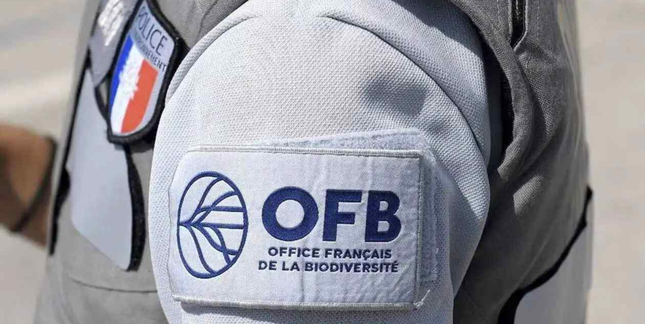 "Camargue : l'OFB dresse le bilan de l'opération massive Delta"