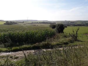 Plaine de chasse en Pays d'Opale