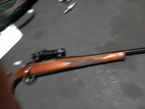 Mauser 300 savage