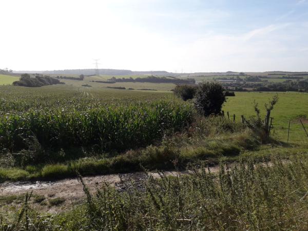 Plaine de chasse en Pays d'Opale