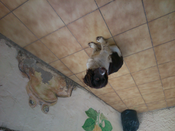 WINCHESTER 1894  EA LEGACY  cal 30/30