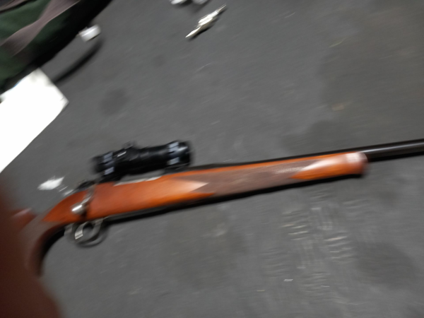 Mauser 300 savage